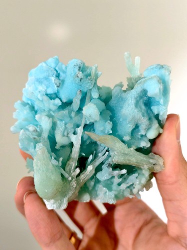 Wow blauer aragonit - blauer,