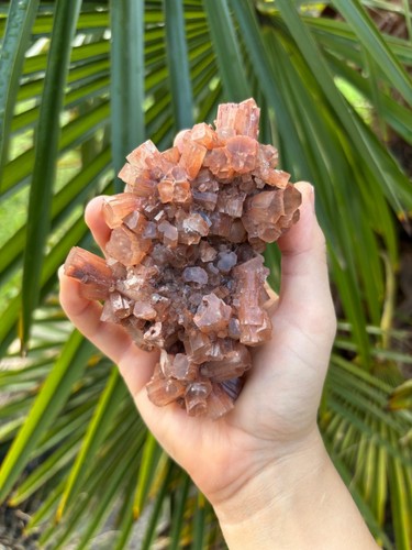Großer aragonit mineralien - großer, (mineralien