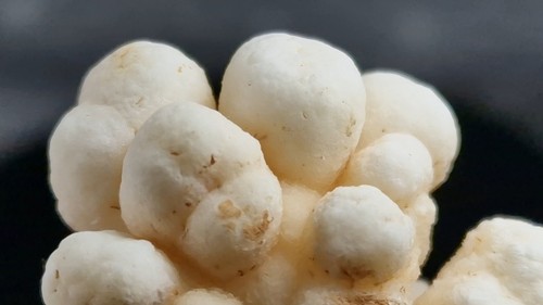 Aragonit 48mm uv - 🤍,