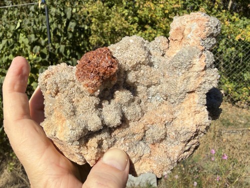 Aragonit hunderte kristalle - hunderte,