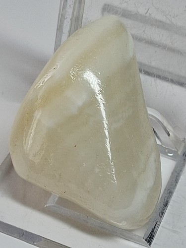 Muschelaragonit